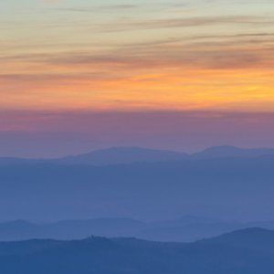 Meet your Posher, Jodi